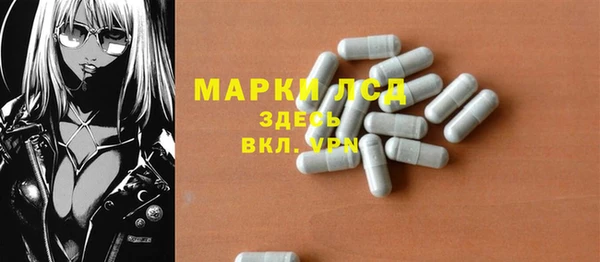 сатива Балахна