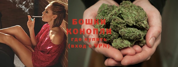 сатива Балахна