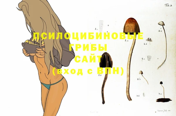 дмт Няндома
