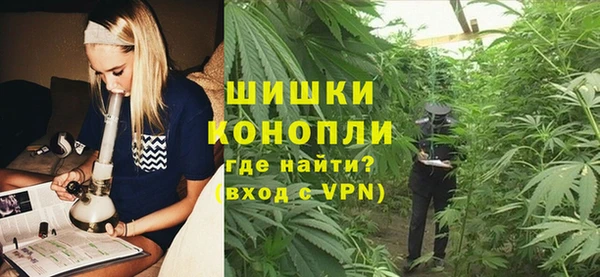 сатива Балахна