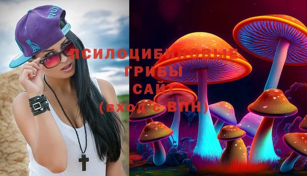 сатива Балахна