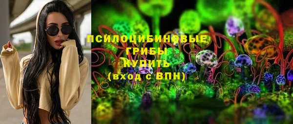 спайс Нягань