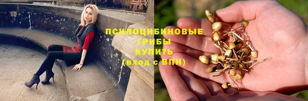 сатива Балахна