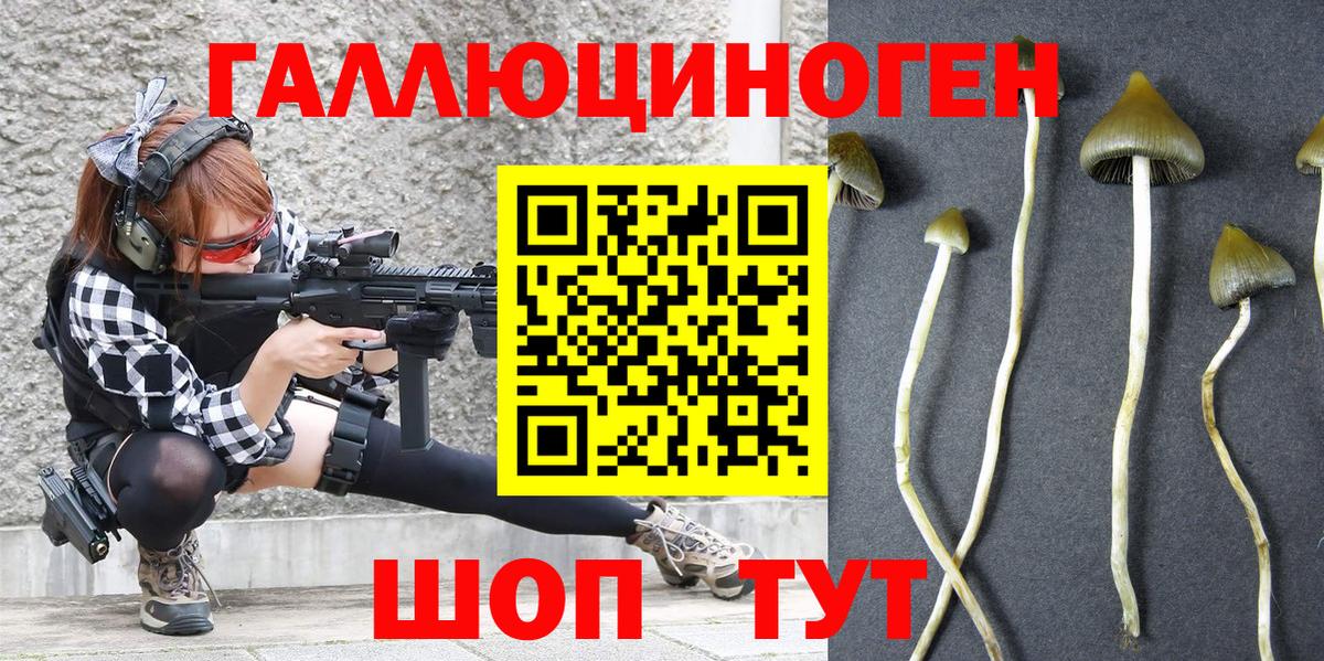 Псилоцибиновые грибы MAGIC MUSHROOMS Каспийск